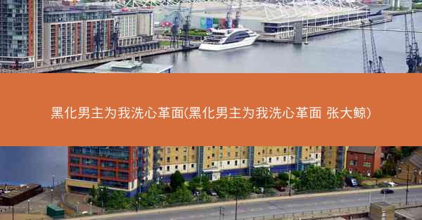 黑化男主为我洗心革面(黑化男主为我洗心革面 张大鲸)